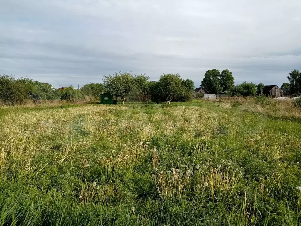 Земельные участки городецкий. Деревня Серково Нижегородская область.