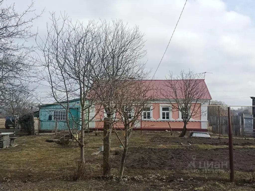 Дом в Тамбовская область, Тамбовский муниципальный округ, с. Лысые ... - Фото 0