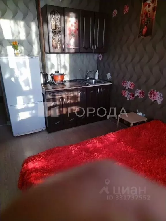 Студия Новосибирская область, Новосибирск Железнодорожная ул., 15/1 ... - Фото 2