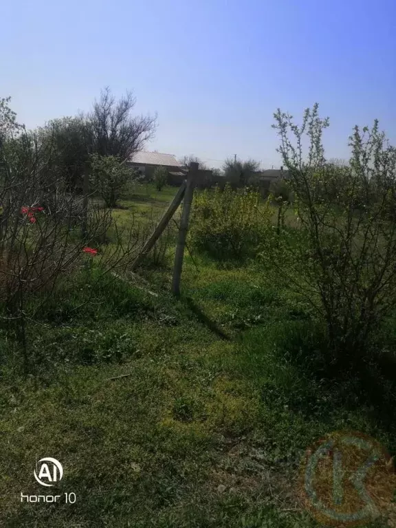 Участок в Крым, Раздольненский район, Славянское с/пос, с. Аврора ул. ... - Фото 1