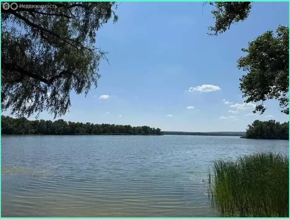 Участок в Калининградская область, Нестеровский муниципальный округ, ... - Фото 1