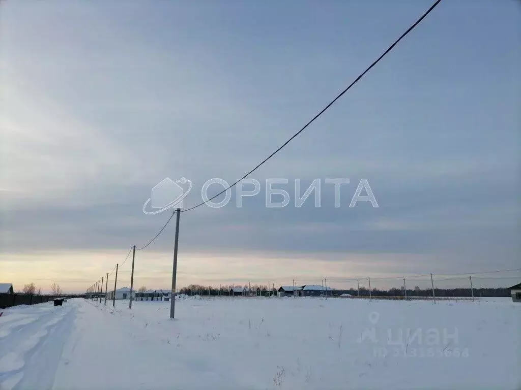 Участок в Тюменская область, Вагайский район, д. Елань Еланская ул., 5 ... - Фото 1