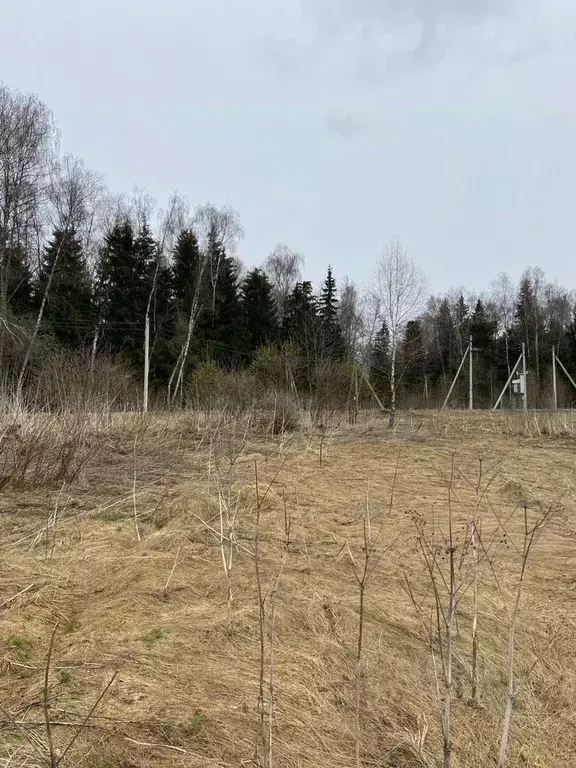 Участок в Московская область, Волоколамский муниципальный округ, ... - Фото 2