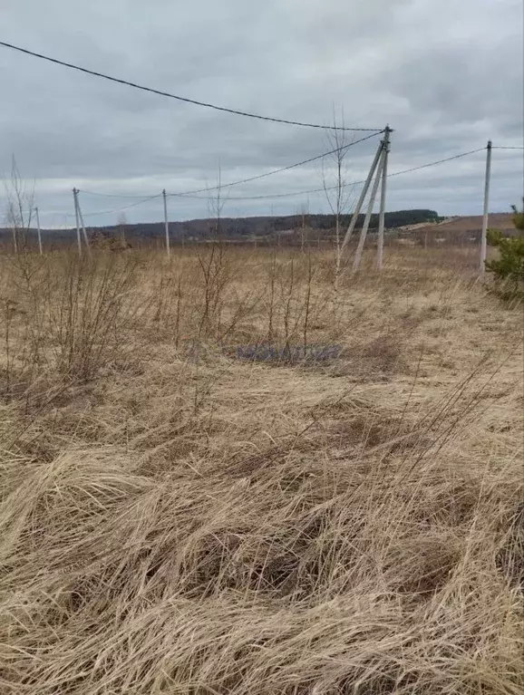 Участок в Нижегородская область, Дальнее Константиново рп пер. ... - Фото 2
