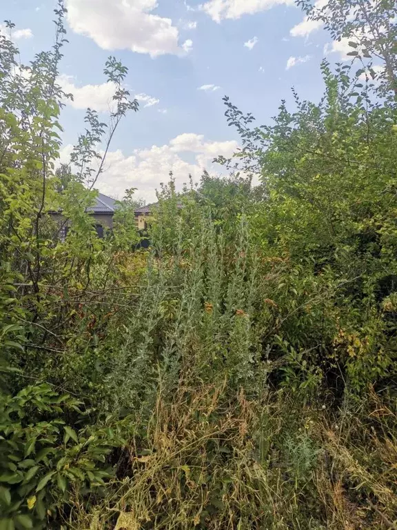 Участок в Ростовская область, Новочеркасск Лиховской пер., 15 (8.5 ... - Фото 1