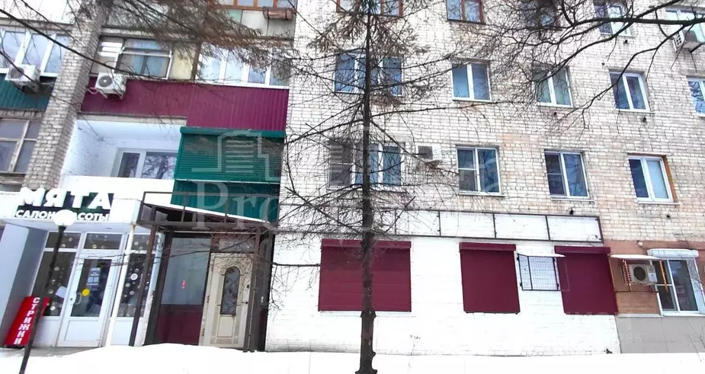 Помещение свободного назначения в Курская область, Курск ул. Радищева, ... - Фото 1