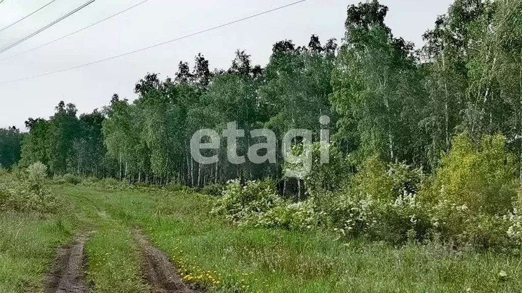 Участок в Красноярский край, Емельяновский район, Элитовский ... - Фото 0