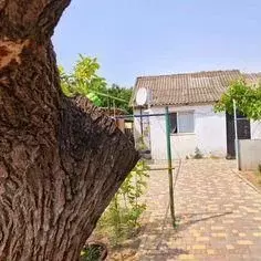 Дом в Крым, Саки ул. Колхозная, 16 (46 м) - Фото 1