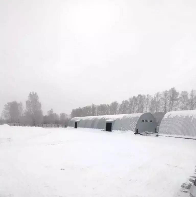 Склад в Новосибирская область, Новосибирск Золотая осень садовое ... - Фото 0