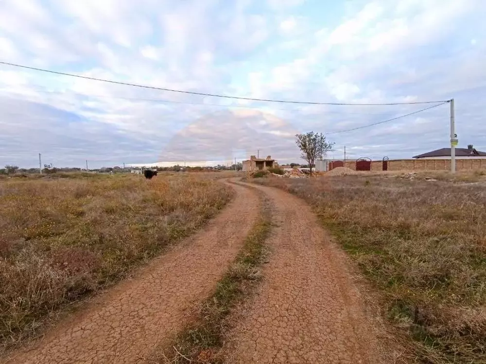 Участок в Крым, Саки ул. Березовая (6.0 сот.) - Фото 1