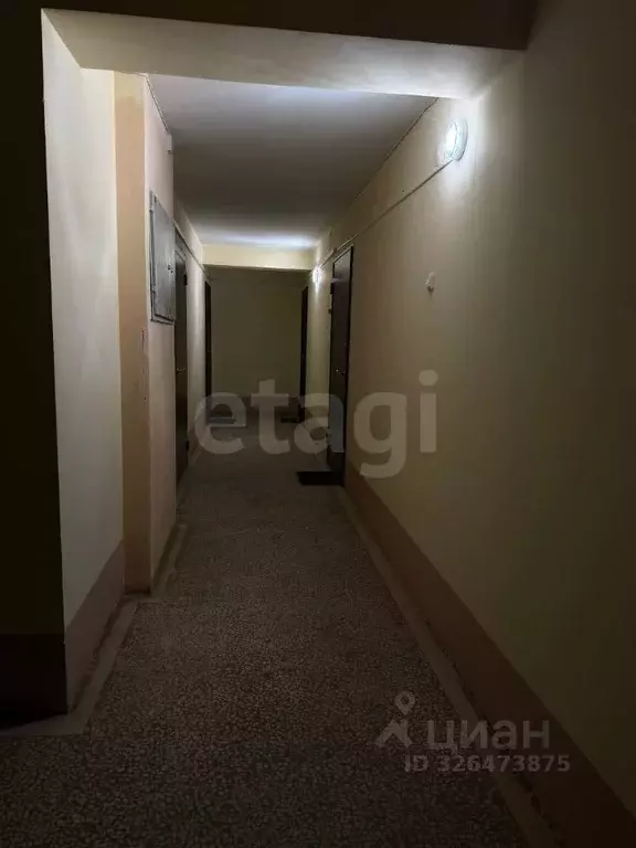 1-к кв. Пермский край, Пермский муниципальный округ, с. Фролы ул. ... - Фото 1