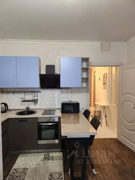Студия Санкт-Петербург Парашютная ул., 42к1 (26.0 м) - Фото 1
