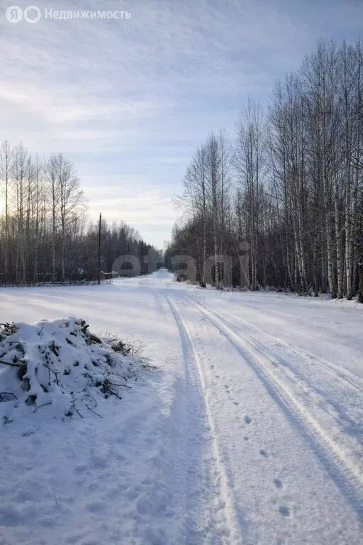 Участок в Курганская область, Кетовский муниципальный округ, СНТ ... - Фото 2