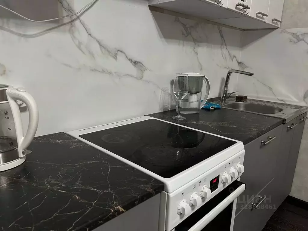 Студия Алтай, Майминский район, с. Майма ул. Березовая роща, 9к1 (24.0 ... - Фото 2