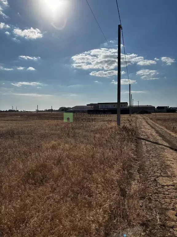 Участок в Крым, Сакский район, Молочненское с/пос ул. Пальмовая (6.0 ... - Фото 1