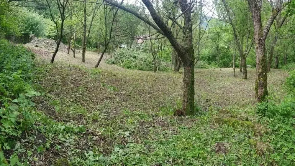 Участок в Ставропольский край, Кисловодск Вишенка СТ,  (5.6 сот.) - Фото 1