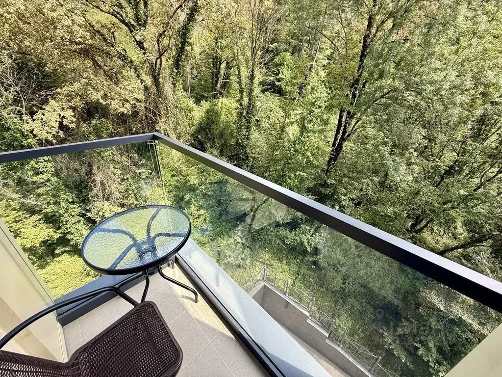 1-к кв. Краснодарский край, Сочи Пластунская ул., 104Бк3 (29.0 м) - Фото 2