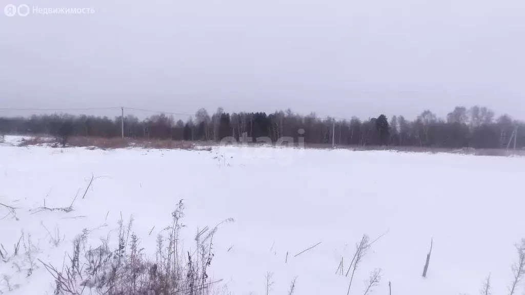 Участок в Томский район, село Кафтанчиково (9.2 м) - Фото 0