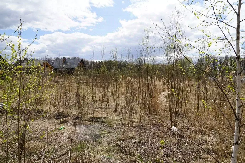 Участок в Московская область, Балашиха Салтыковка мкр, ул. Лесные ... - Фото 1