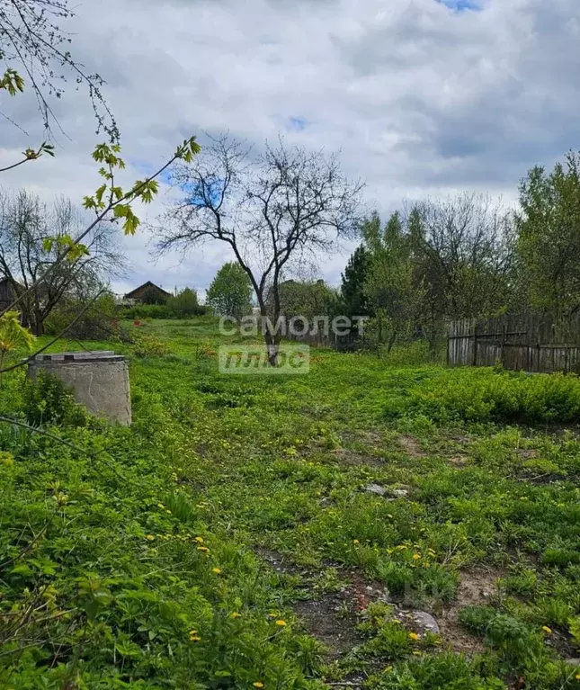 Участок в Владимирская область, Владимир с. Кусуново, ул. Центральная ... - Фото 0
