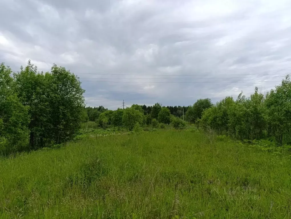 Участок в Ленинградская область, Волосовский район, Калитинское с/пос, ... - Фото 1