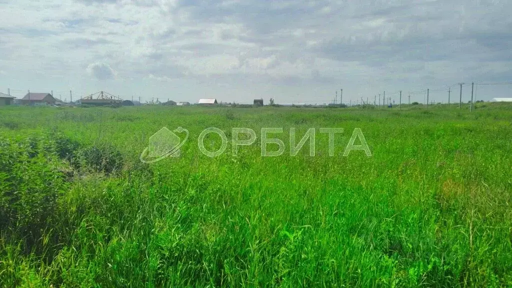 Участок в Тюменская область, Тюменский район, с. Луговое Плодовая ул. ... - Фото 1