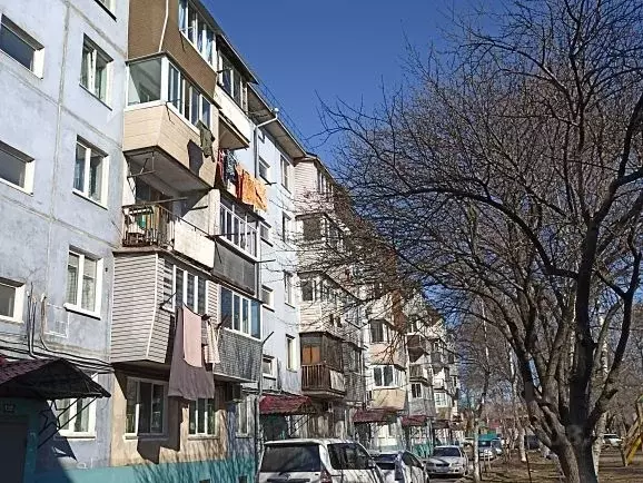 1-к кв. Приморский край, Уссурийск ул. Комарова, 73 (29.8 м) - Фото 0