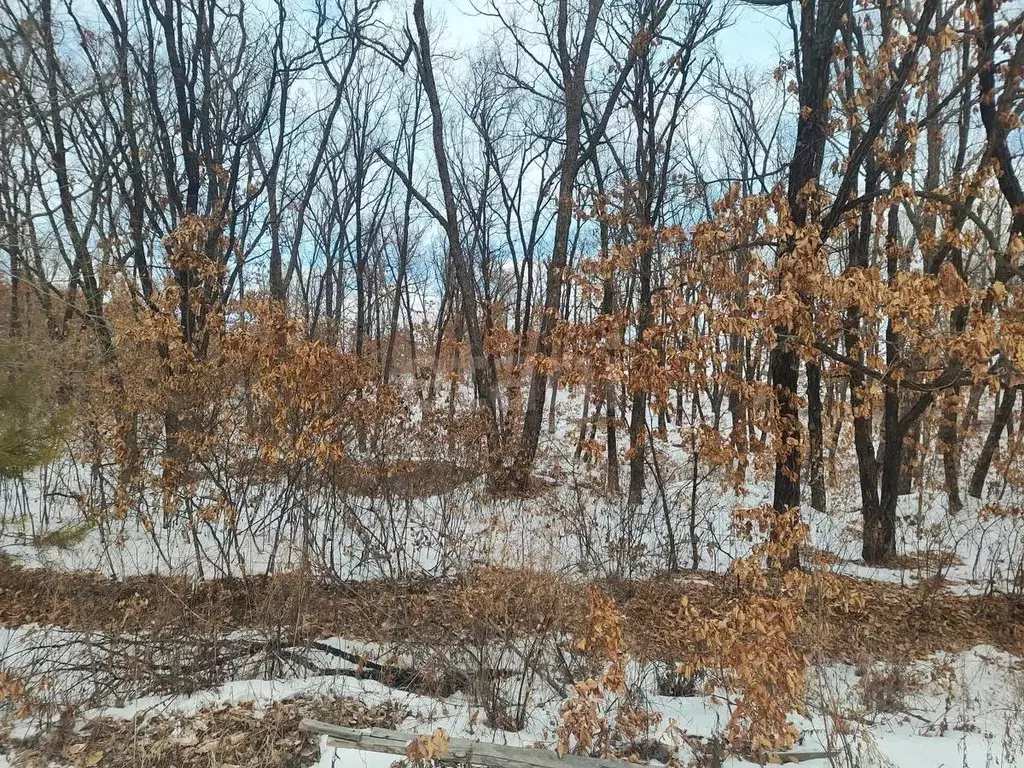 Участок в Амурская область, Благовещенск  (10.8 сот.) - Фото 1