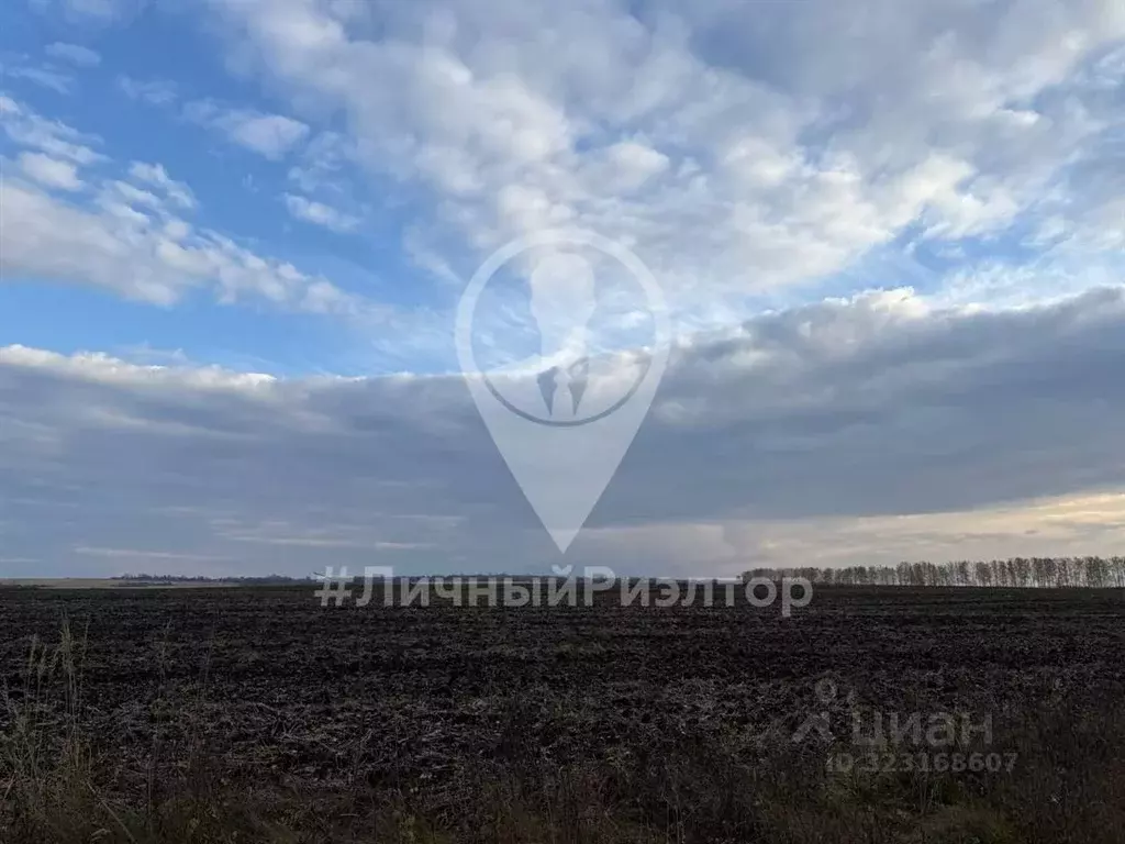 Участок в Рязанская область, Рязань Почтовая ул. (1047.0 сот.) - Фото 2