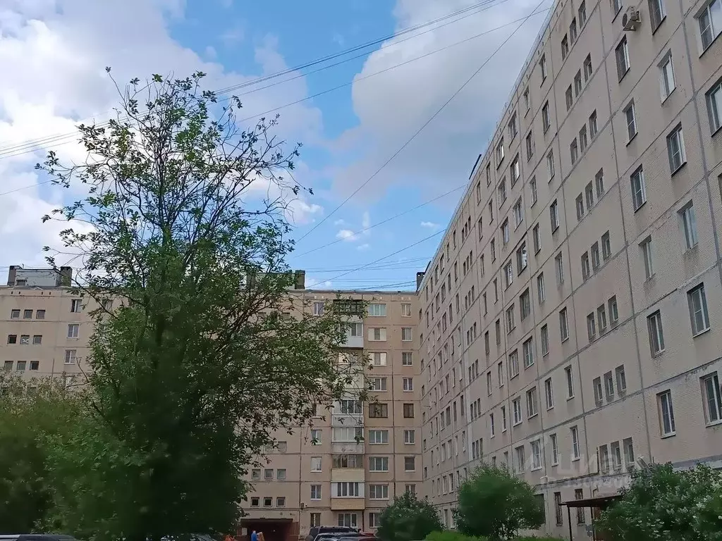 2-к кв. Ленинградская область, Всеволожск ул. Плоткина, 19 (51.7 м) - Фото 2