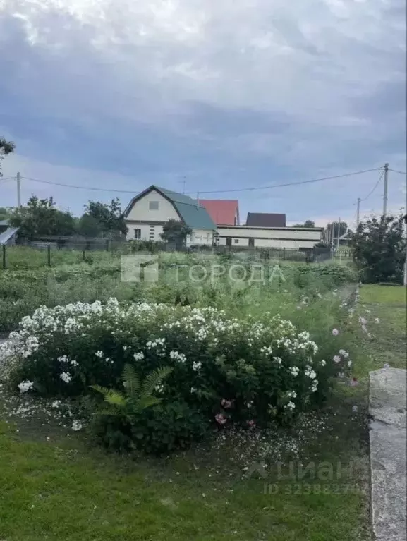 Участок в Алтайский край, Новоалтайск ул. Перфишина (5.5 сот.) - Фото 1