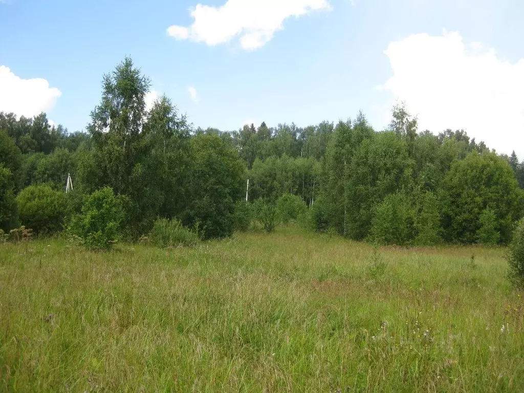 Участок в Московская область, Рузский муниципальный округ, д. Барынино ... - Фото 2