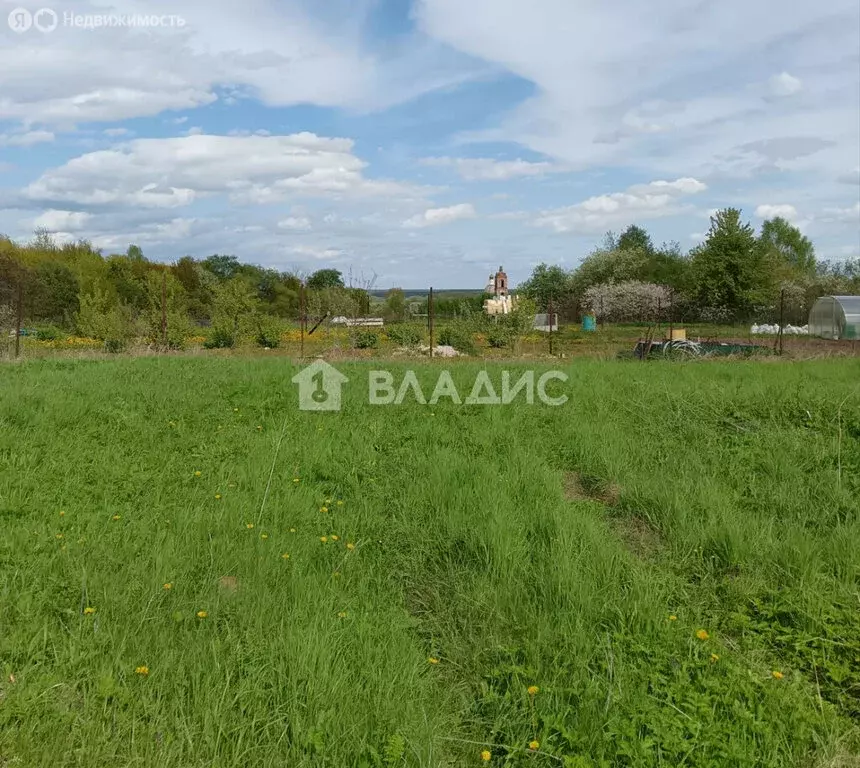 Участок в Суздальский район, муниципальное образование Павловское, ... - Фото 1