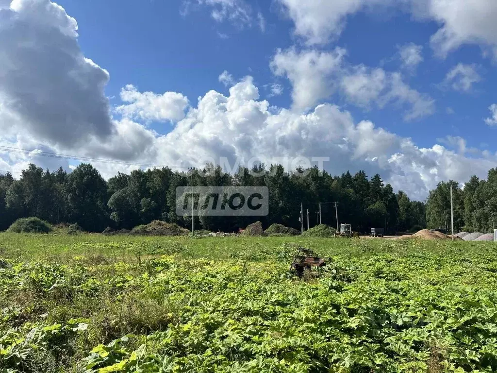 Участок в Ленинградская область, Выборгский район, Рощинское городское ... - Фото 1