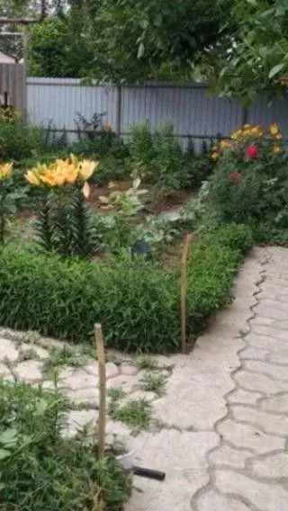 Дом в Ростовская область, Волгодонск Южный пер., 29 (85 м) - Фото 2