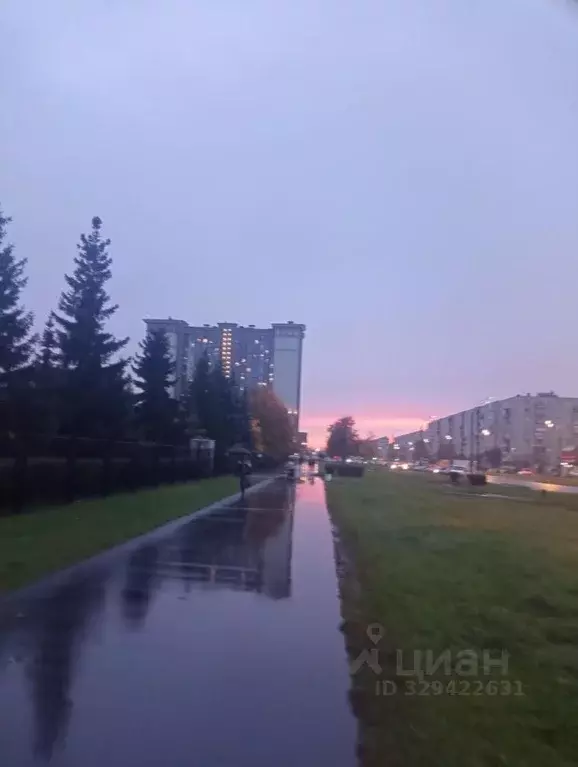 Студия Санкт-Петербург Будапештская ул., 102 (32.0 м) - Фото 1
