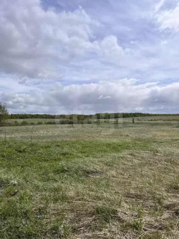 Участок в Калужская область, Спас-Деменский район, Чипляево с/пос, с. ... - Фото 2