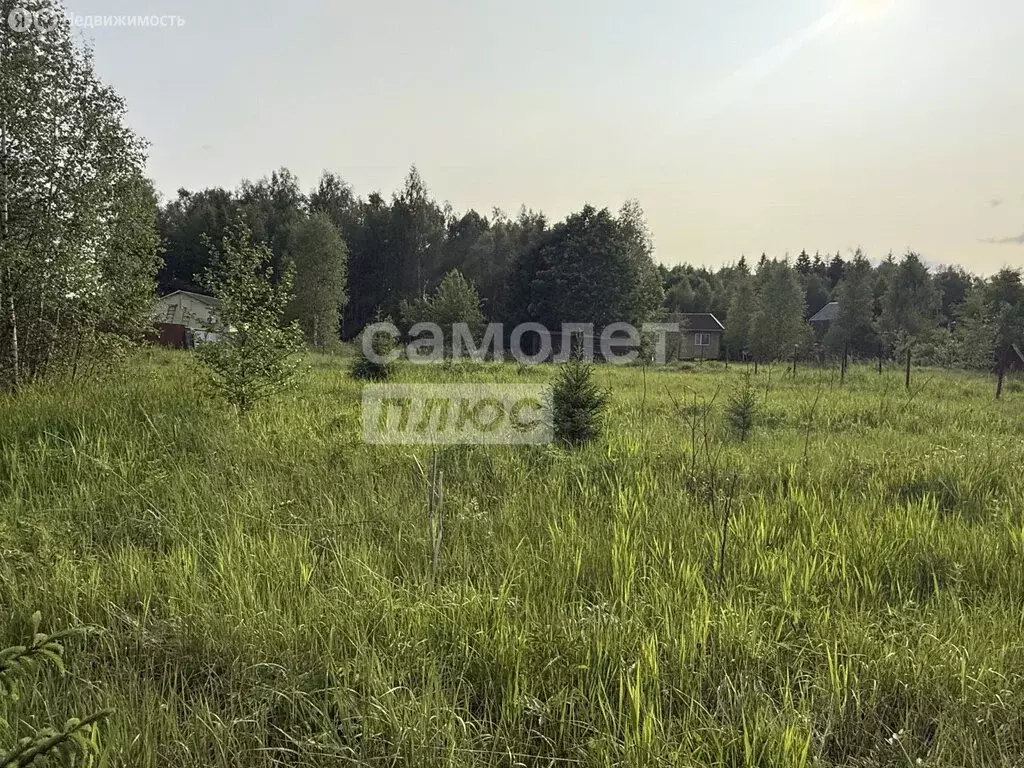 Участок в Наро-Фоминский городской округ, садоводческий ... - Фото 1