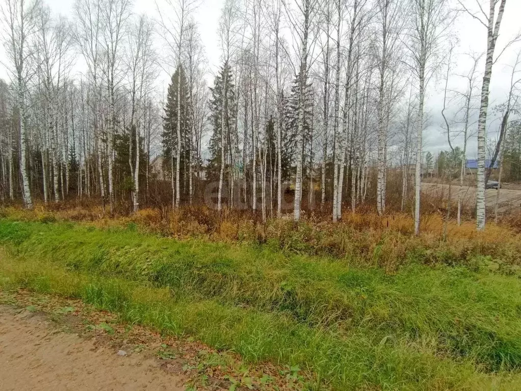 Участок в Коми, Сыктывкар Емваль мкр,  (10.67 сот.) - Фото 2