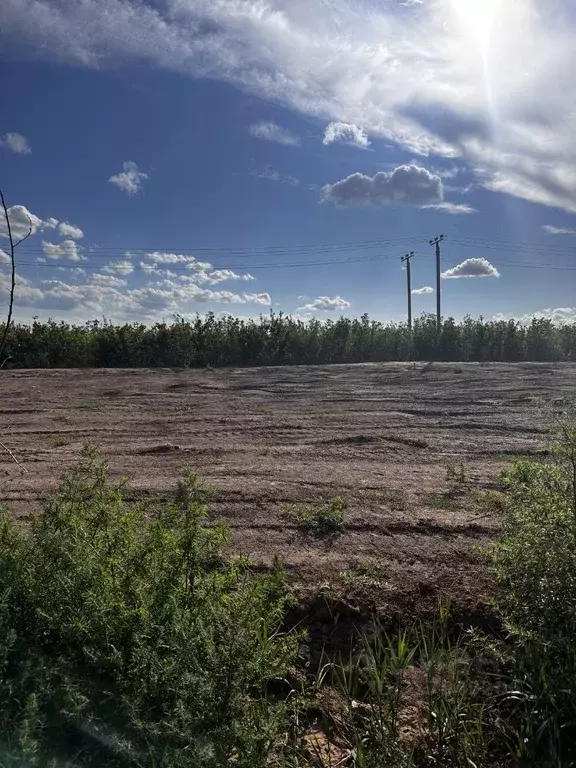 Участок в Оренбургская область, Оренбургский район, пос. Ленина ул. ... - Фото 2