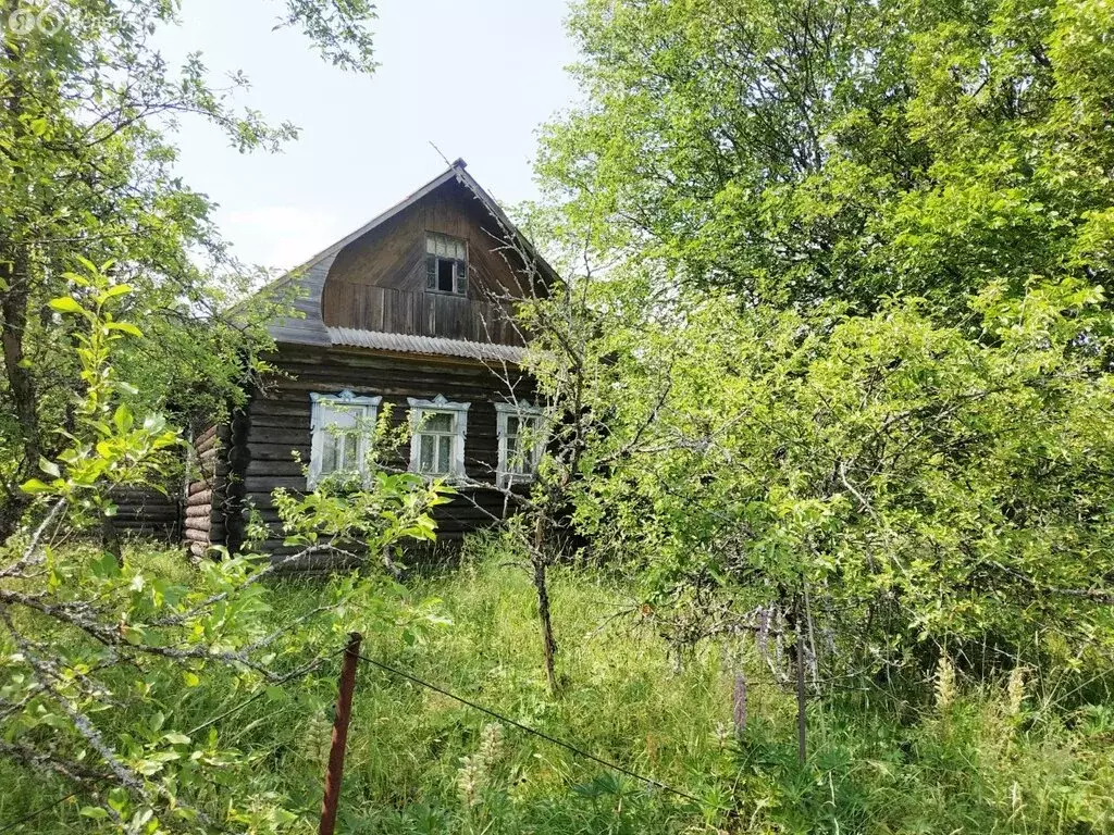 Участок в Вологодская область, Грязовецкий муниципальный округ, ... - Фото 0