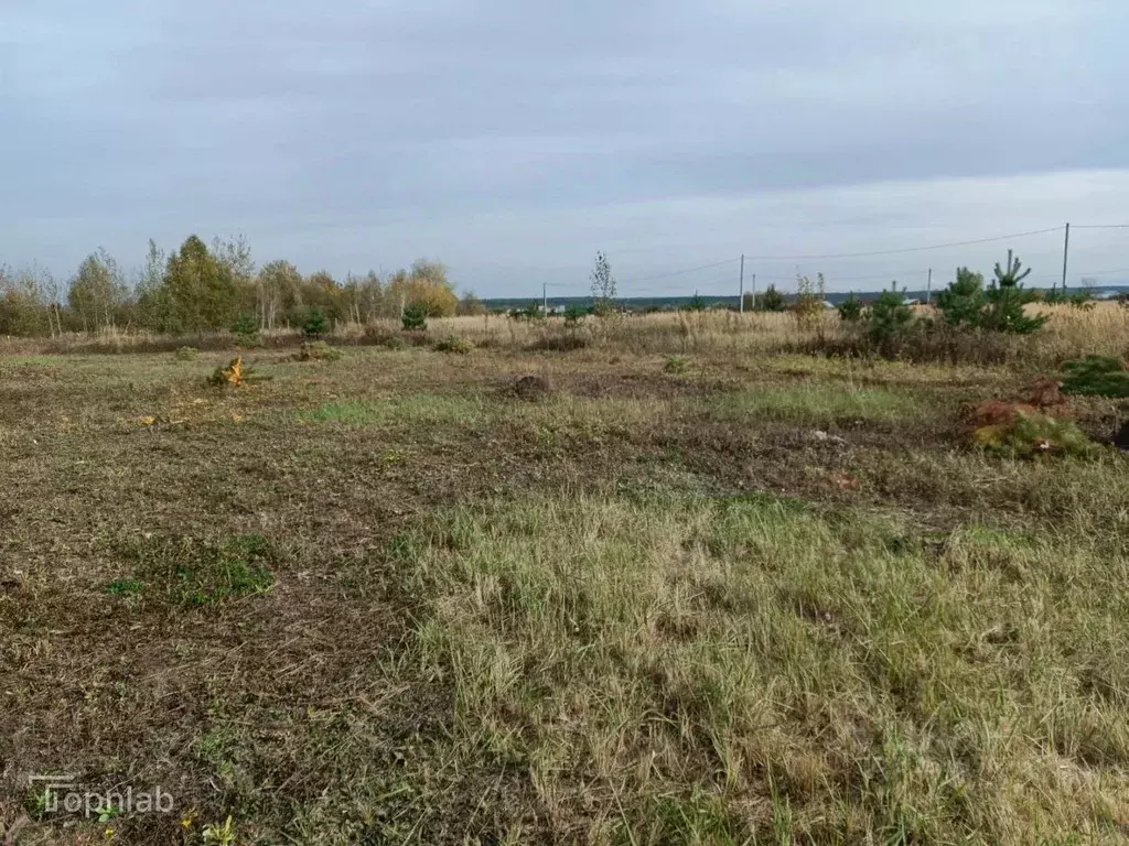 Участок в Тамбовская область, Тамбовский муниципальный округ, пос. ... - Фото 1