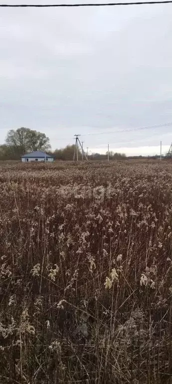 участок в калининградская область, зеленоградский муниципальный округ, . - Фото 1