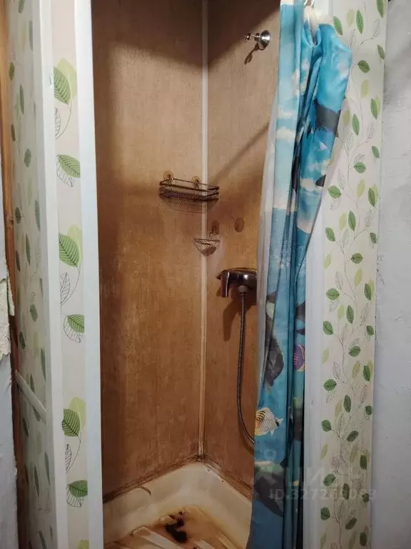 Комната Санкт-Петербург Сиреневый бул., 9 (12.3 м) - Фото 2