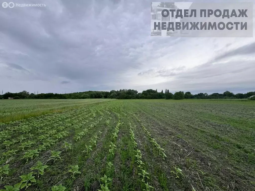 Участок в Крымский район, село Киевское (50 м) - Фото 0