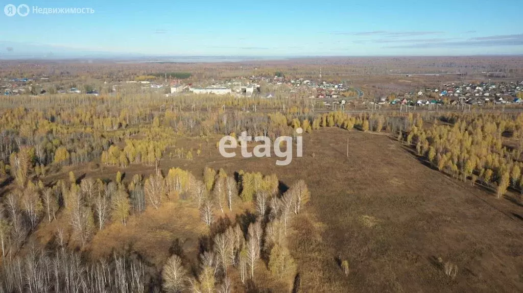Участок в Мошковский район, село Сокур (7.2 м) - Фото 2