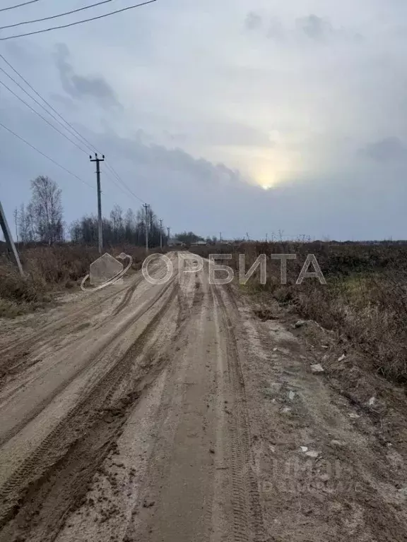 Участок в Тюменская область, Тюменский район, с. Перевалово, Зубарево ... - Фото 1