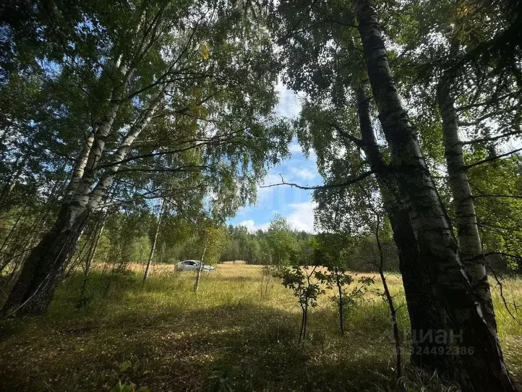 Участок в Костромская область, Красносельский район, Шолоховское ... - Фото 2