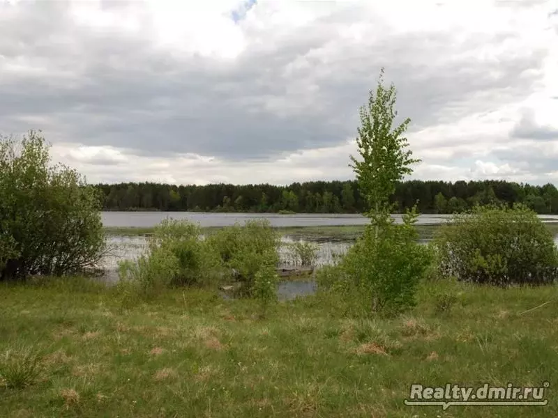 Участок в Тверская область, Весьегонский район, д. Бараново  (2400.0 ... - Фото 1