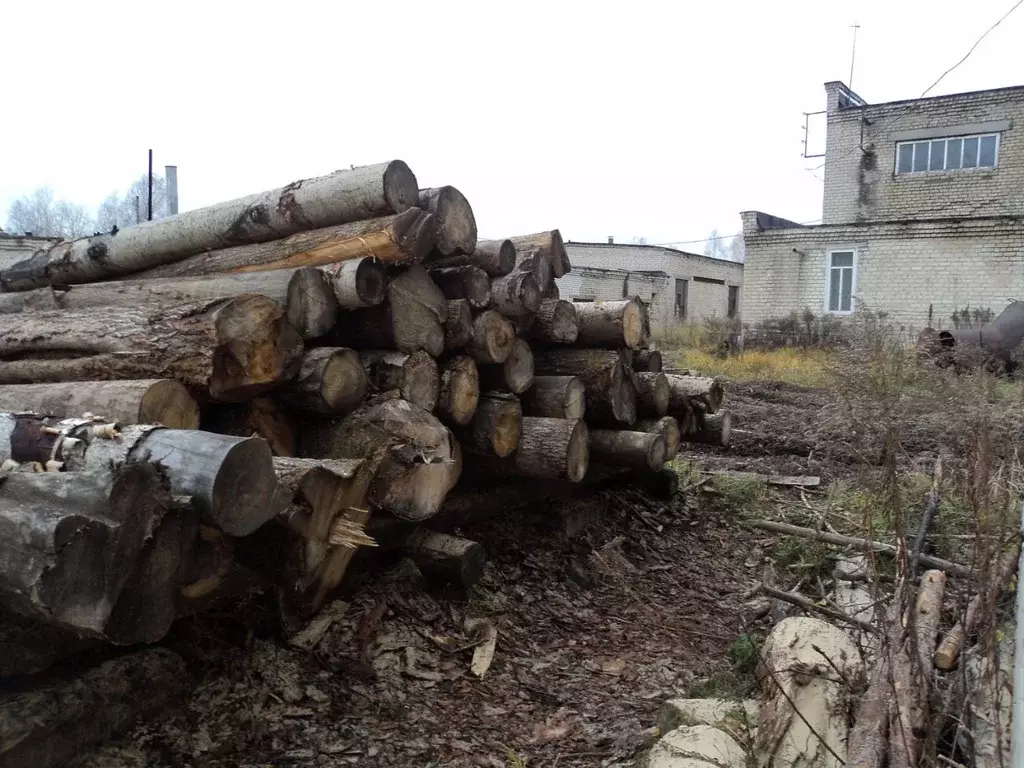 Помещение свободного назначения в Нижегородская область, Семенов ул. ... - Фото 0